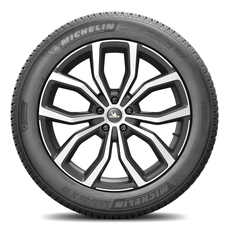 Шины michelin crossclimate suv 255 55 r19 111w xl