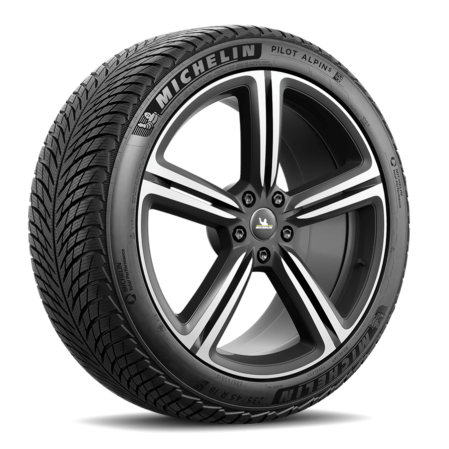 MICHELIN Pilot Alpin 5 