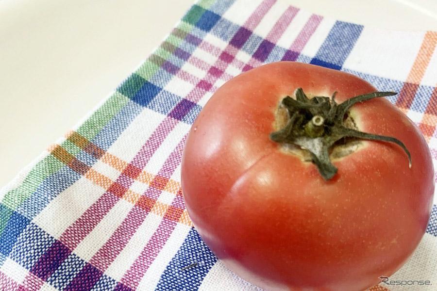 Ферменты из томатов улучшат топливную экономичность шин компании Sumitomo