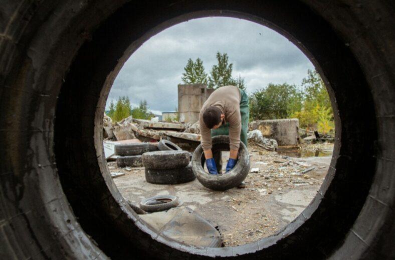 Рекордный год для проекта «Охота на колеса»