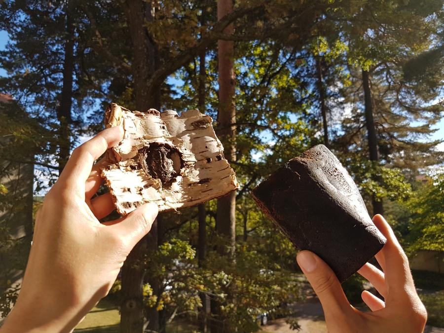 Reselo выиграла конкурс Fast Race, Big Change с технологией производства каучука из бересты