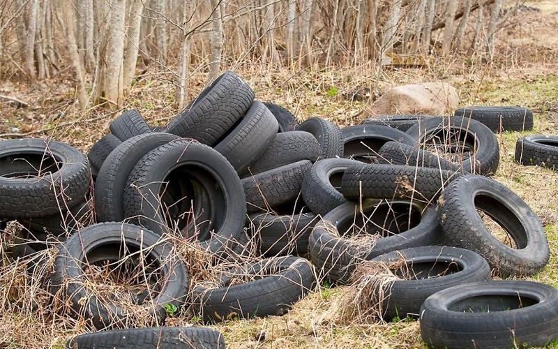 В рамках акции «Сдай шины - спаси бобра!» жители Брянской области собрали более 30 тонн покрышек