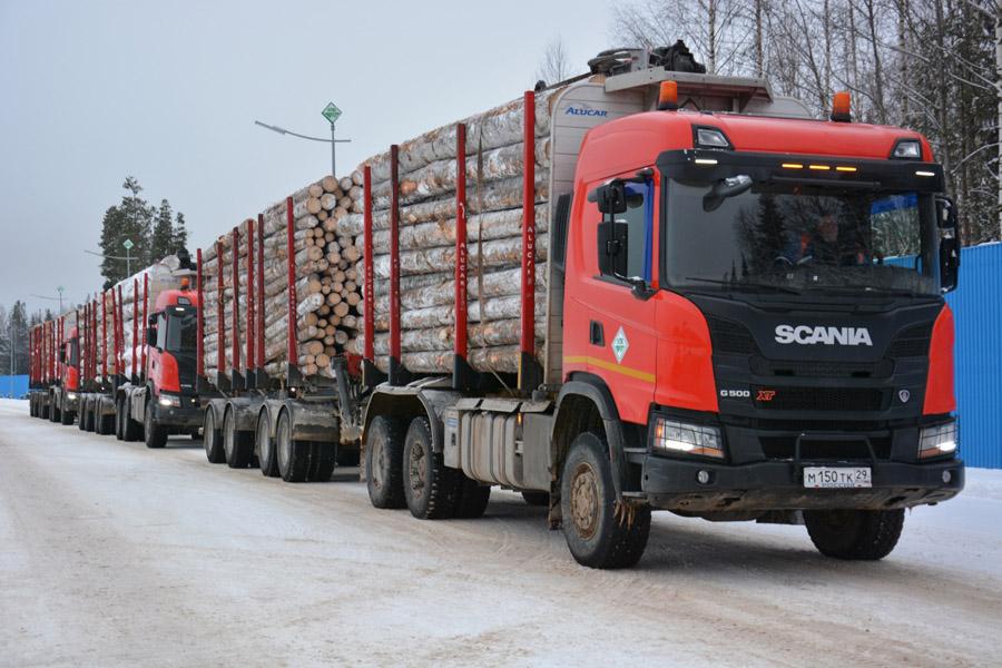 Архангельские лесозаготовители оснастят свои лесовозы шипованной резиной