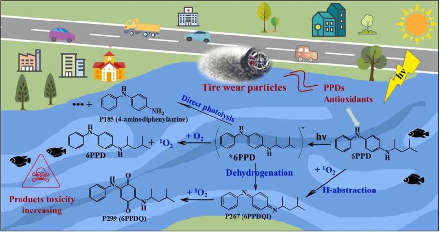 Федерация ассоциаций рыбаков США против американских производителей шин