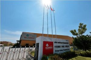 ZC Rubber инвестирует 4 миллиарда юаней в пять стратегических проектов по производству шин