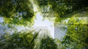 Nokian Tyres вошла в Топ-100 самых устойчивых компаний мира по версии журнала Time 