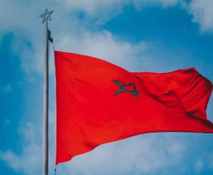 Китайская Guizhou/Advance Tyre планирует построить шинный завод в Марокко