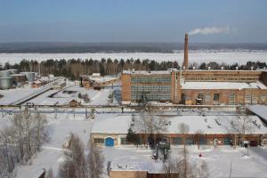 Сибирский лесохимический завод осваивает выпуск смол для шинной промышленности