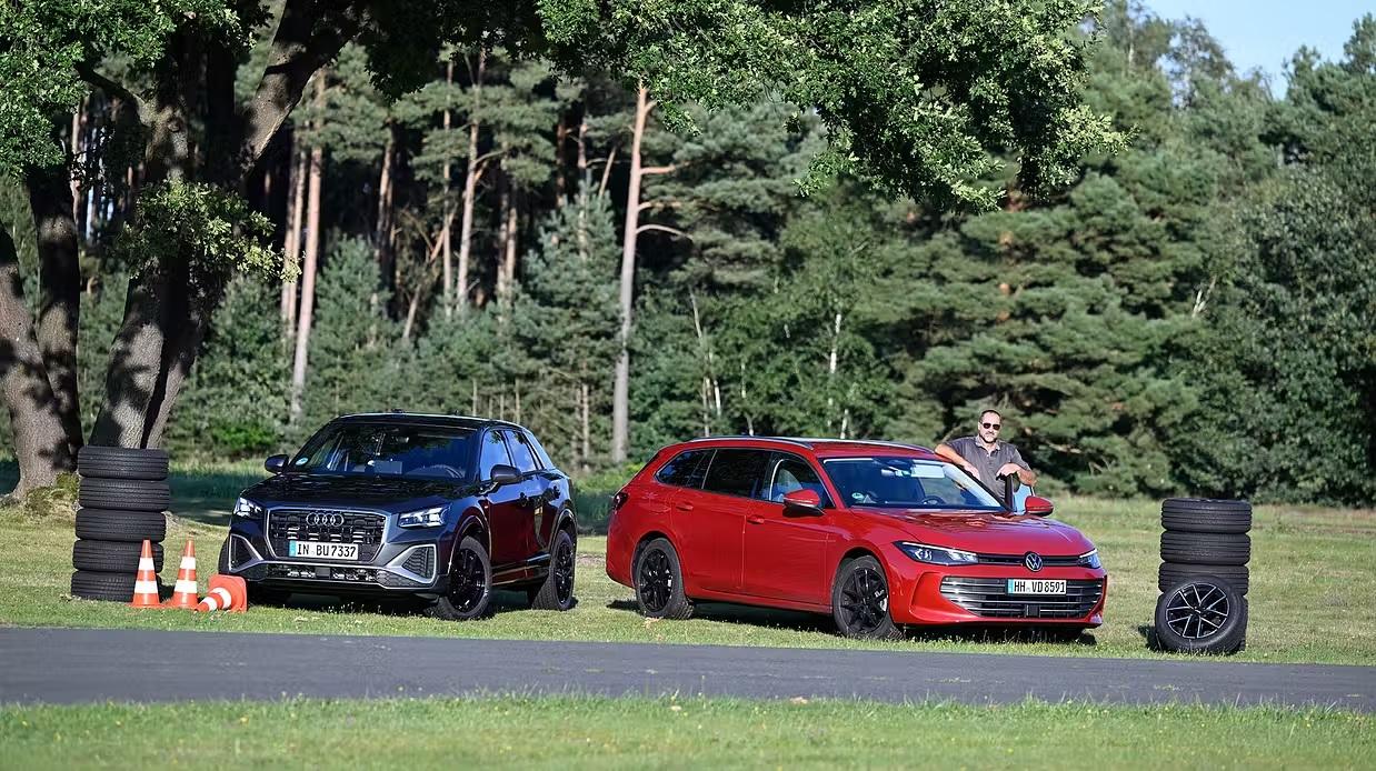 Тест летних «зеленых» шин 215/55R17 (Auto Motor und Sport, 7/2025)