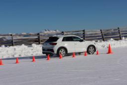 Тест всесезонных шин 215/50R18 для спортивных SUV (Auto Bild, 43/2025)