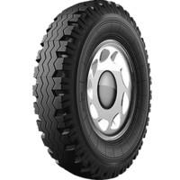 Алтайшина Я-245