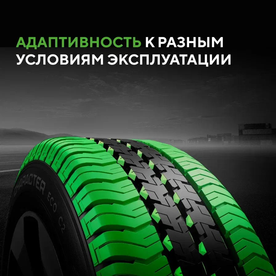 Шины Ikon / Nokian Tyres Character Eco C2