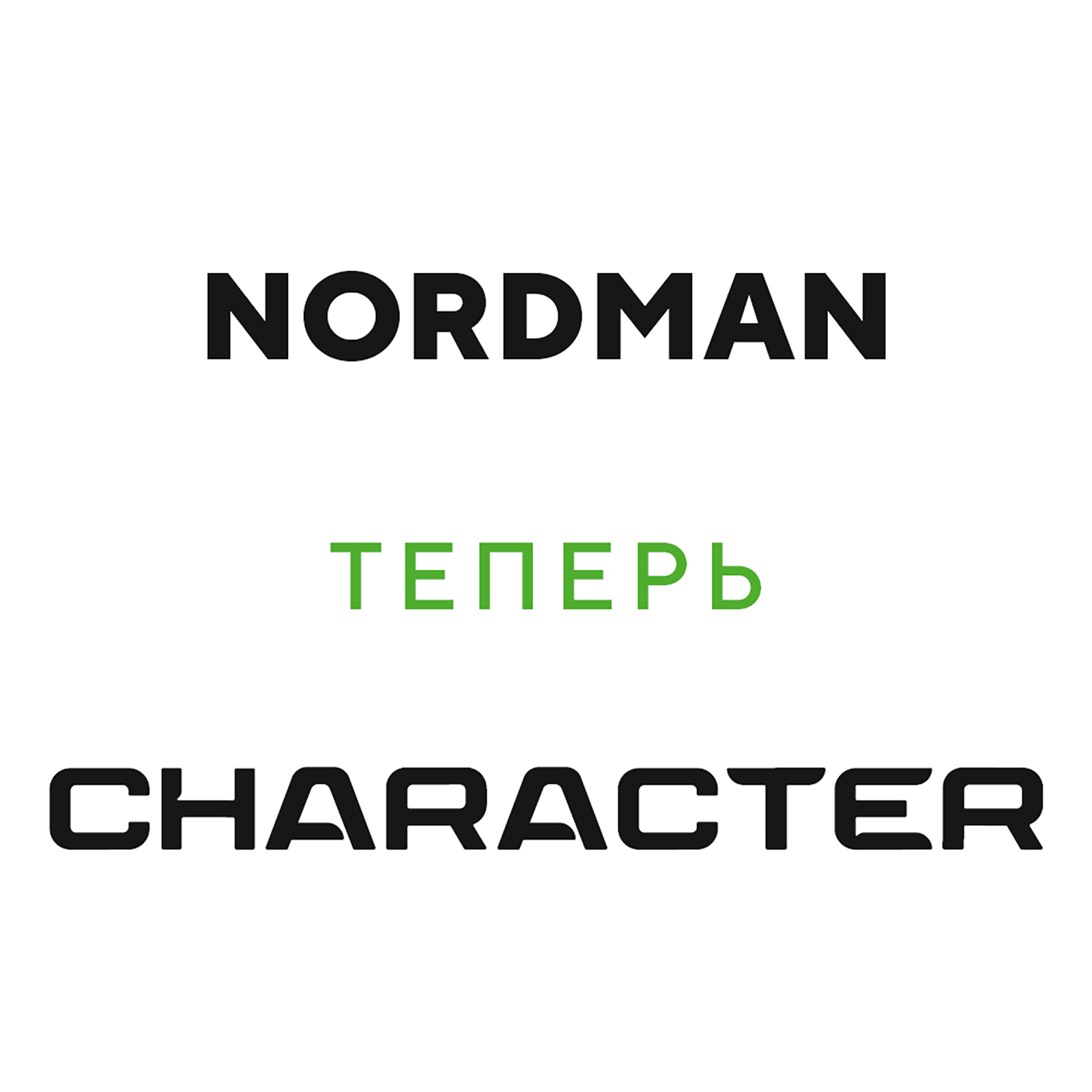 Ikon / Nokian Tyres Nordman S2 SUV (Character Aqua SUV) 225/60R18 100H