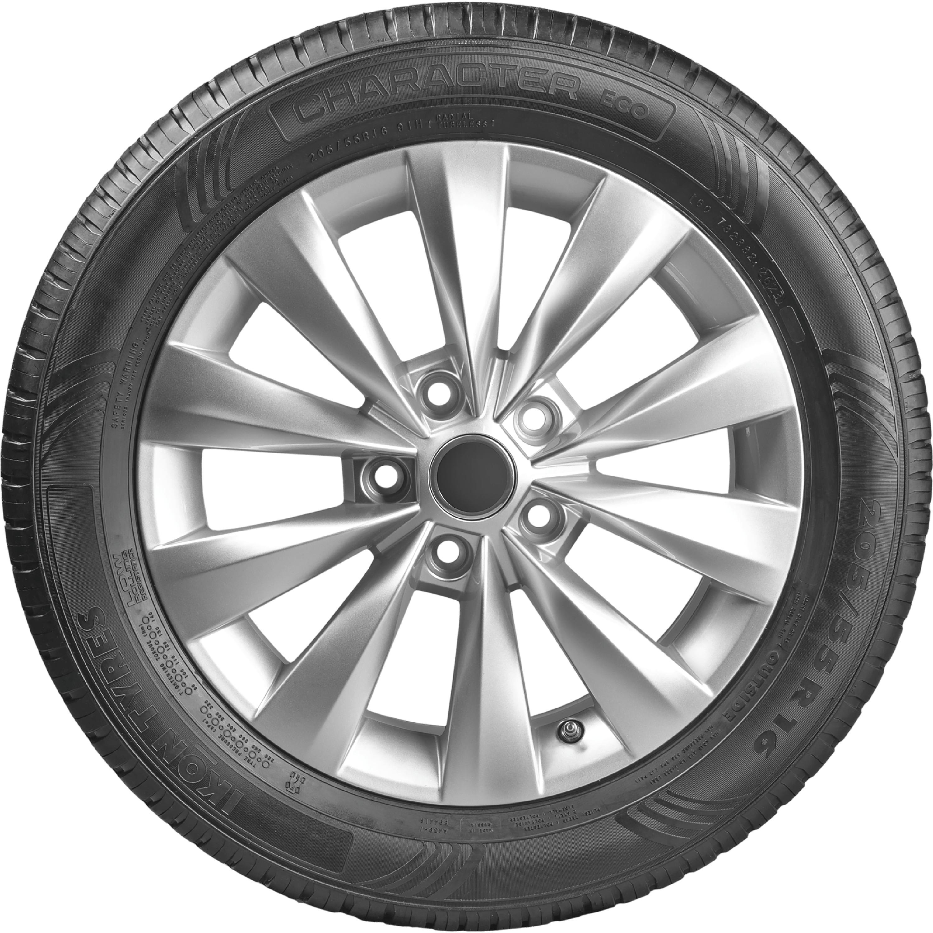 Шины Ikon / Nokian Tyres Character Eco (Nordman SX3)