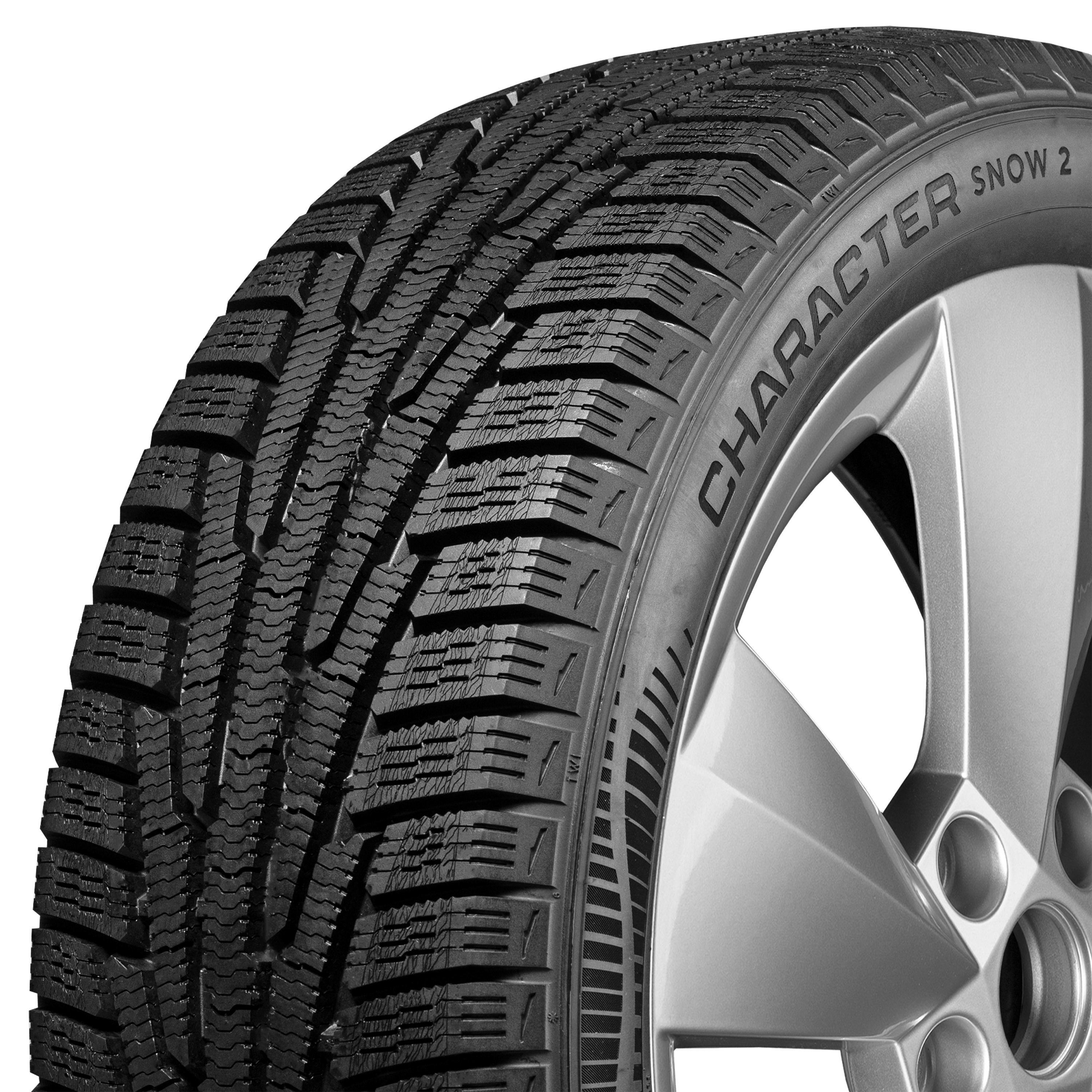 Шины Ikon / Nokian Tyres Character Snow 2 (Nordman RS2)
