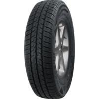 Mazzini Snow Leopard Van