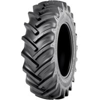 TR Forest 2