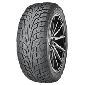 Шины Roadcruza Ice-Fighter II