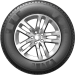 Шины Sailun RoadX RXFrost WC01
