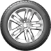 Шины Sailun RoadX RXFrost WH01
