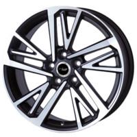 Lizardo XH292 (395) CBMF