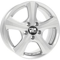 MSW 19 Full Silver