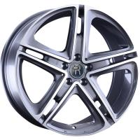 V66 GMF