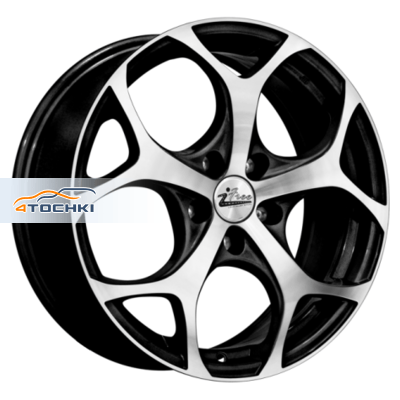 Тортуга Блэк Джек